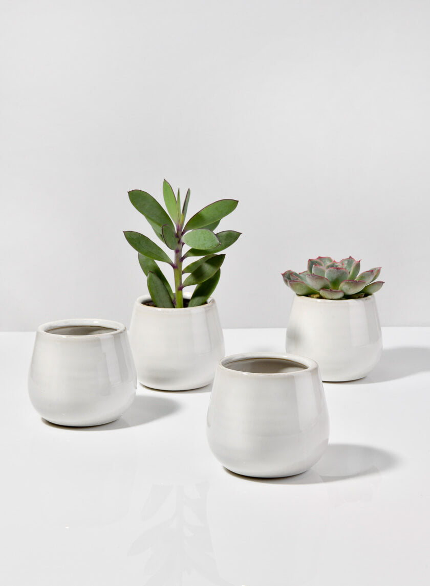 3in Tall White Stoneware Bowl Decor Jamaligarden