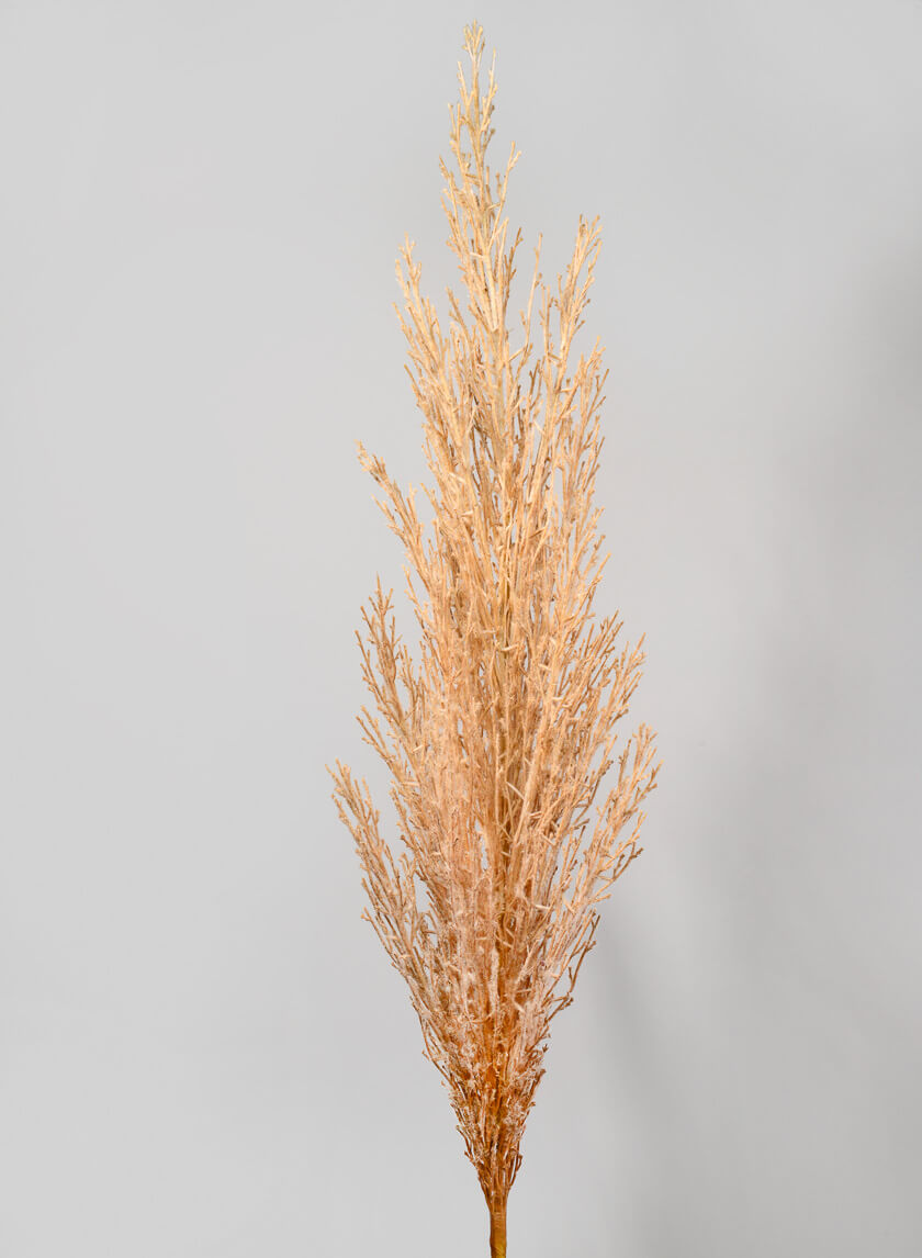 47in Long Tan Pampas Grass Reed Decor Jamaligarden