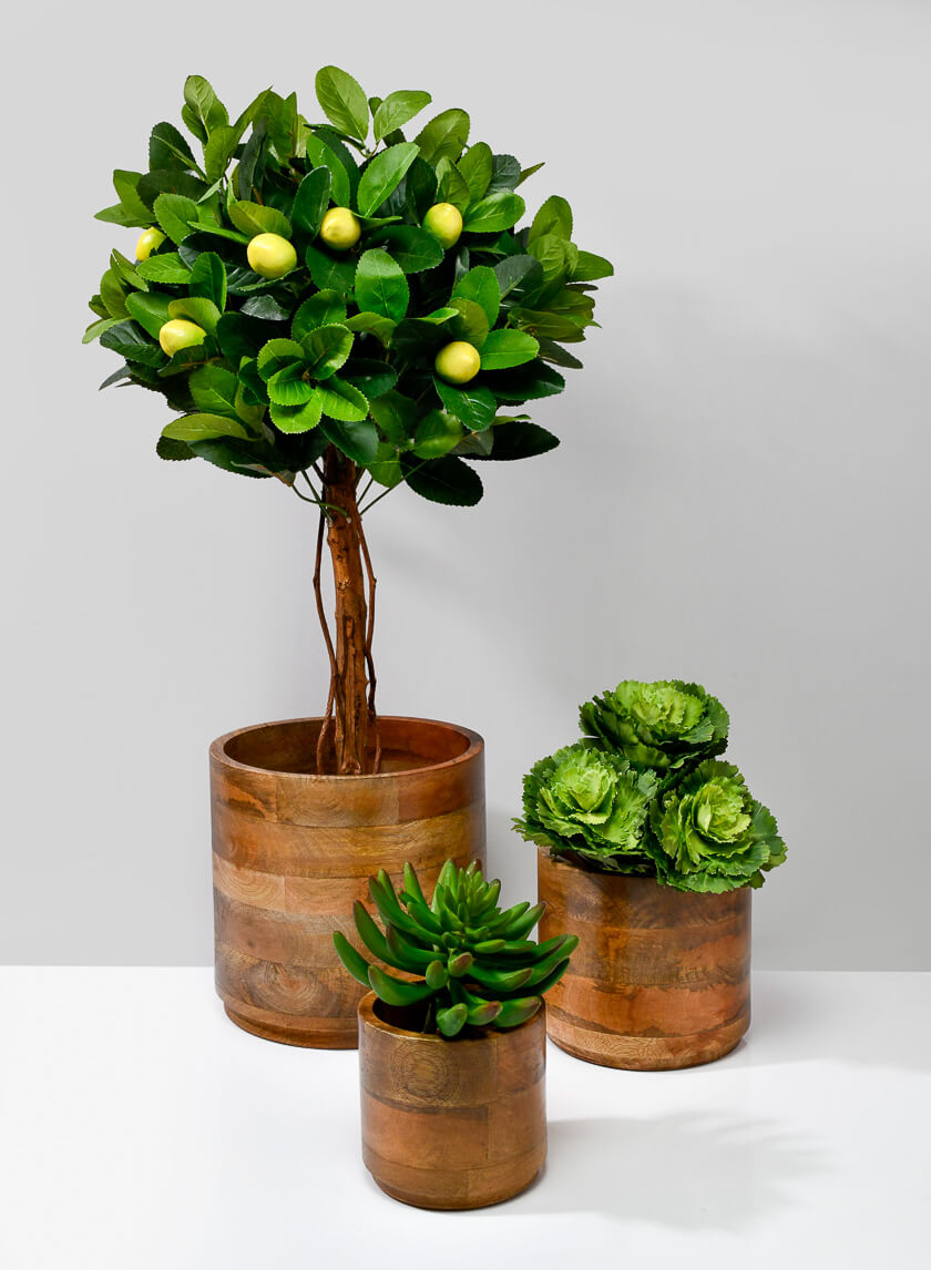 Salma Wood Cachepot Decor Jamaligarden