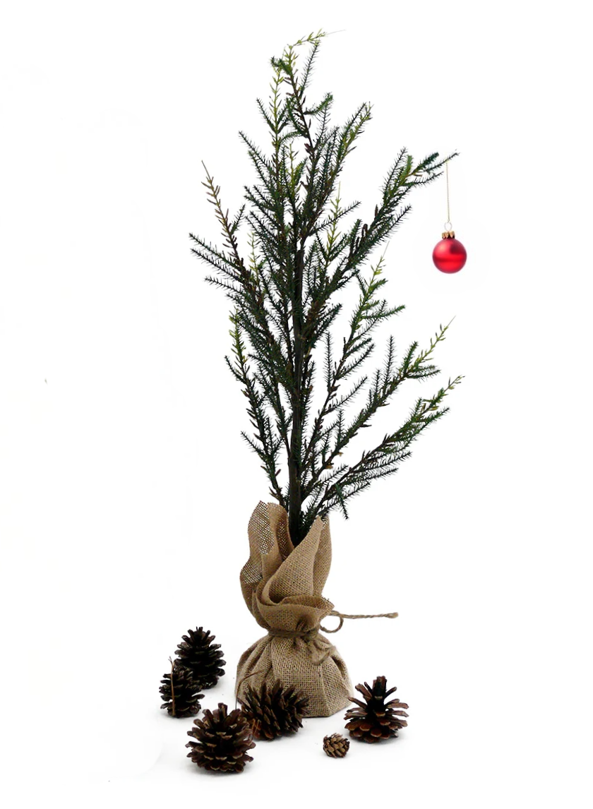 Pine Trees With Burlap Root Balls Decor Jamaligarden