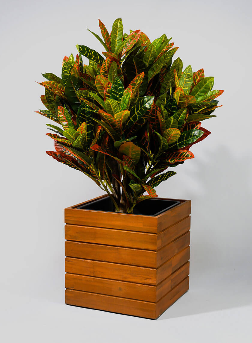 12in Tall Vuong Acacia Wood Planter Decor Jamaligarden