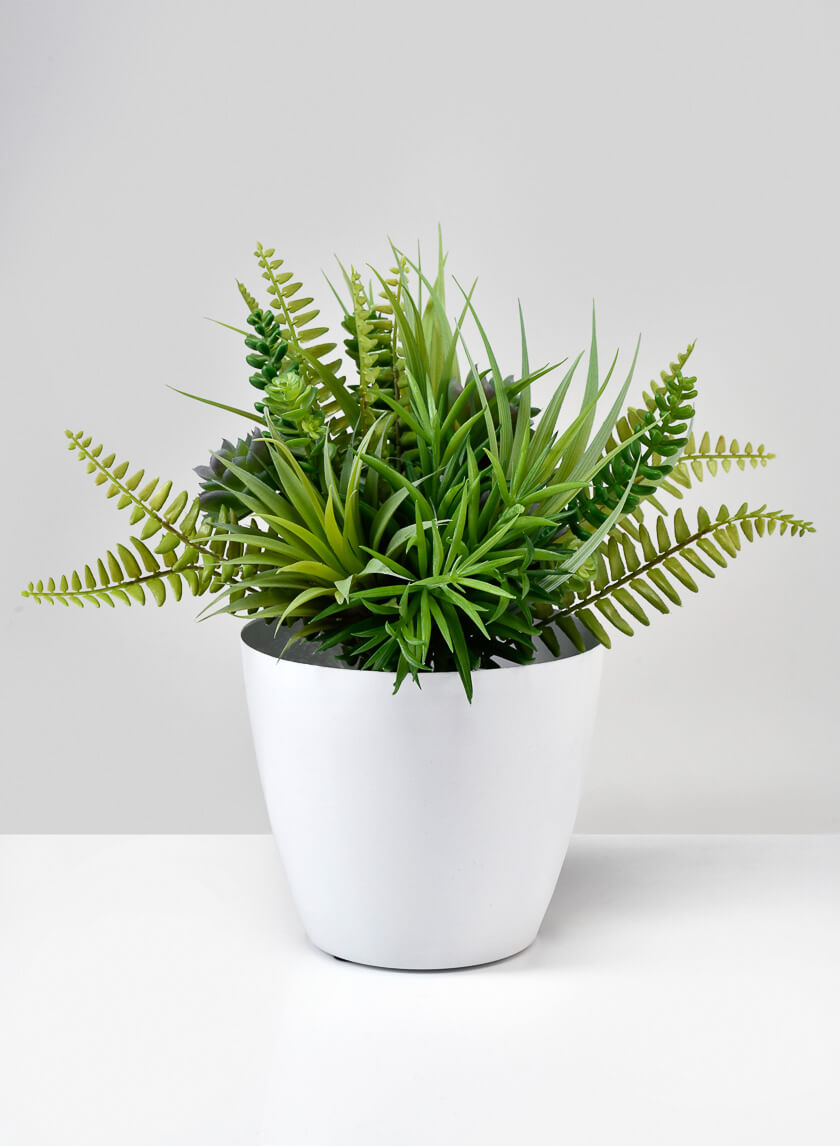 5.5in Tall White Elegance Cachepot, Set of 2 Decor Jamaligarden