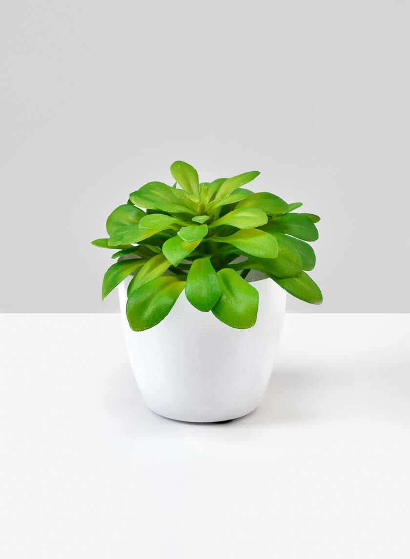 3.5in Tall White Elegance Cachepot, Set of 4 Decor Jamaligarden
