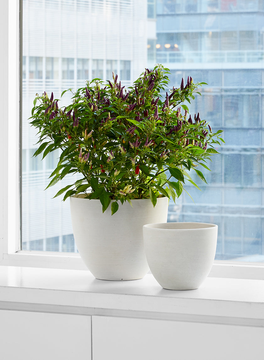 Natural White Sandstone Pots Decor Jamaligarden