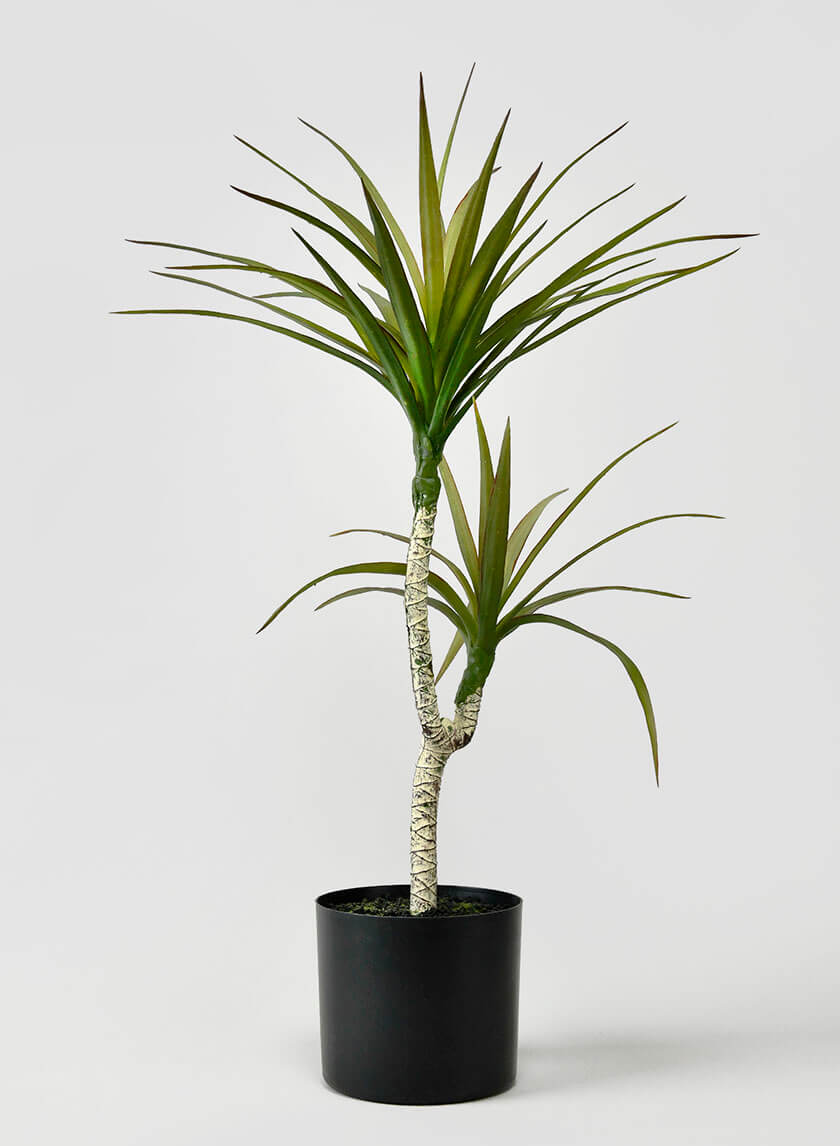 28in Tall Long Yucca Tree Decor Jamaligarden